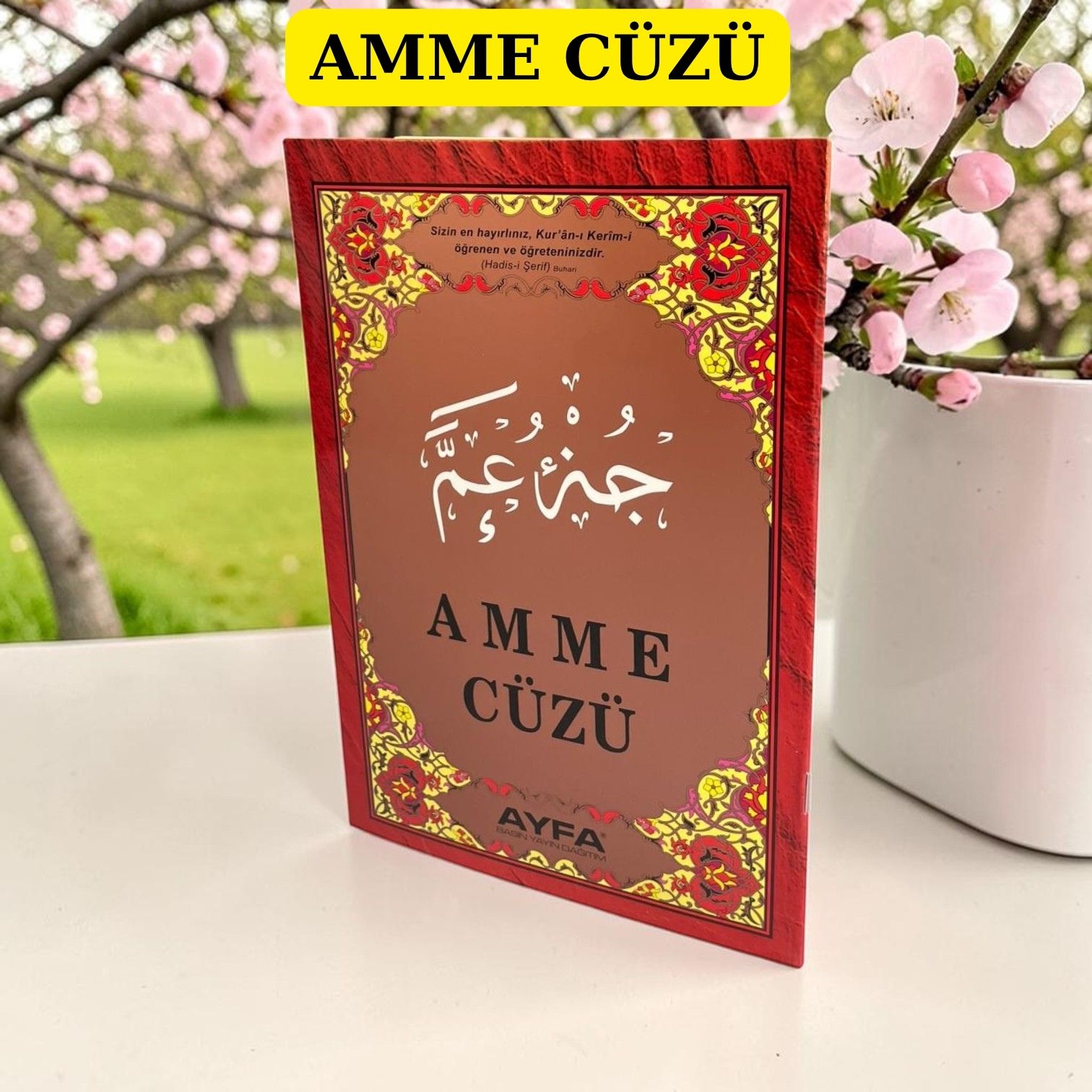 Y-AYFA 019-AMME CÜZÜ