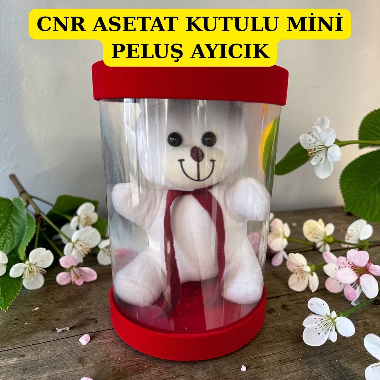 CNR ASETAT KUTULU MİNİ PELUŞ AYICIK