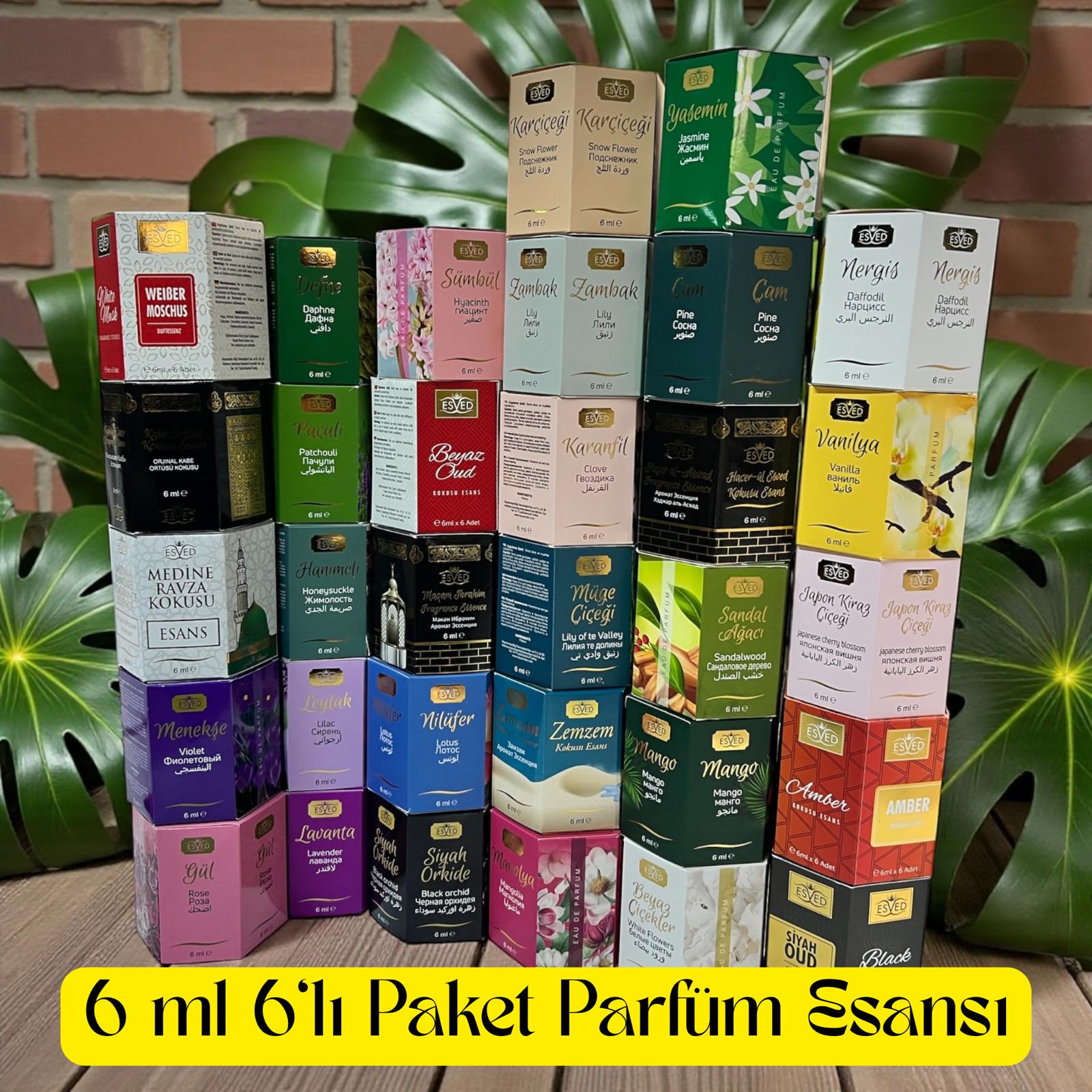 BBT 6 ML 6 LI PAKET PARFÜM ESANSI 